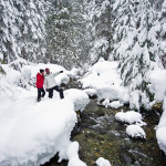 Whistler Snowshoeing | Canadian Wilderness Adventures