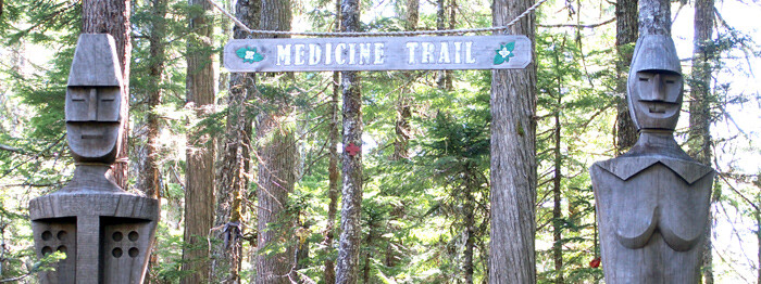 Whistler Medicine Trail
