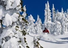 Canadian Wilderness Adventures Backcountry Snowmobile Whistler