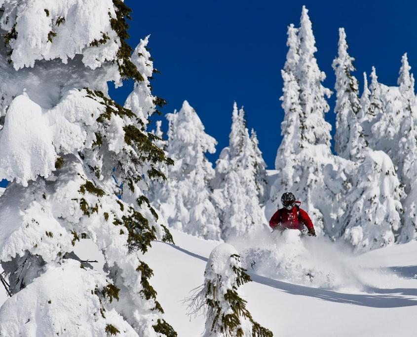 Canadian Wilderness Adventures Backcountry Snowmobile Whistler