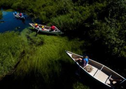 Canadian Wilderness Adventures Canoe Whistler River of Golden Dreams