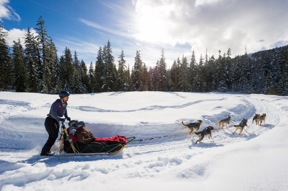 Dog Sledding Canadian Wilderness Adventures Whistler, BC