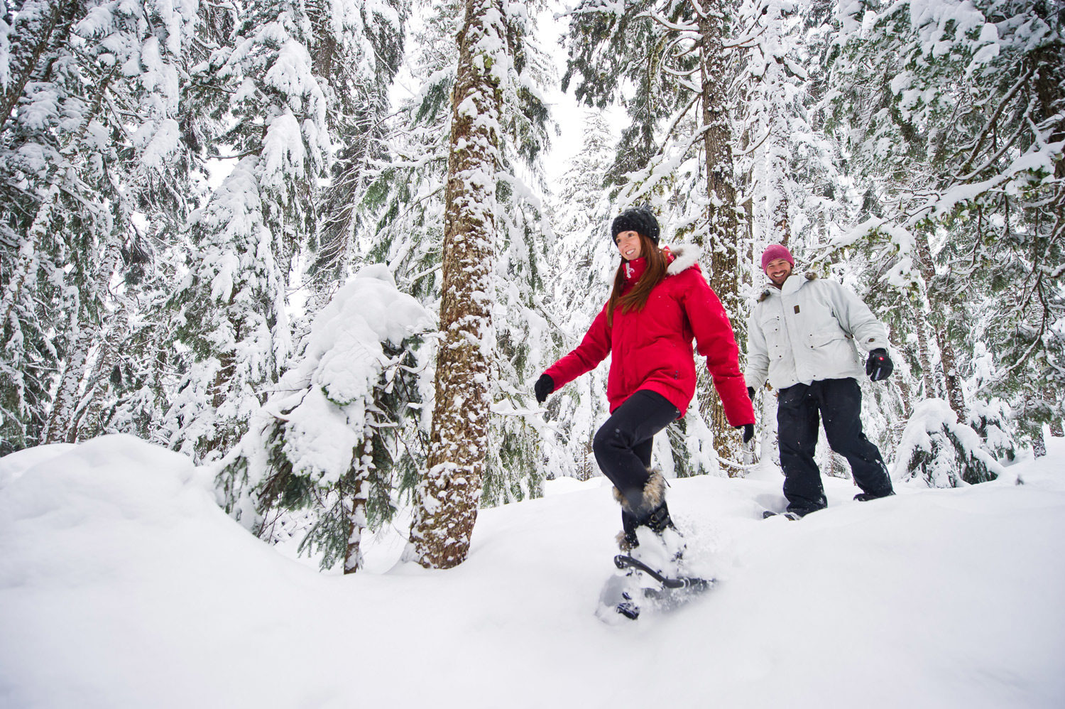Canadian Wilderness Adventures Whistler Showshoe Tours