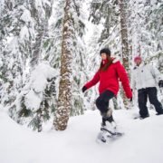 Canadian Wilderness Adventures Whistler Showshoe Tours