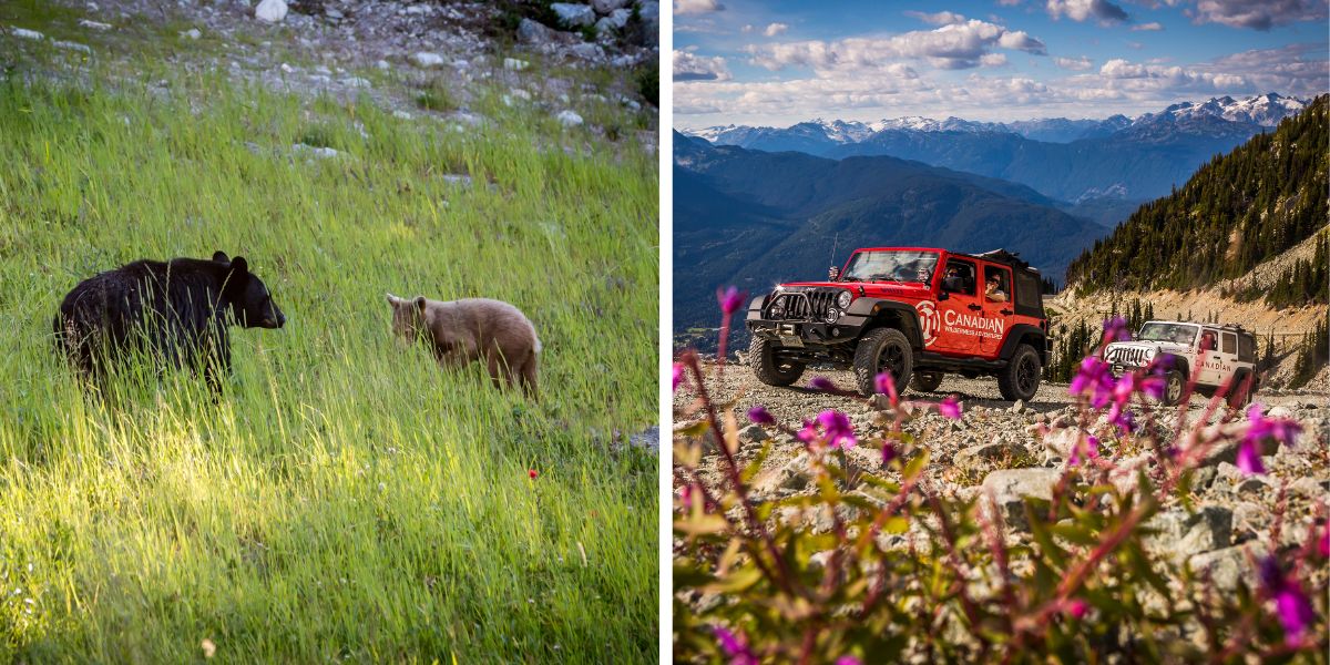 Whistler ATV and Jeep Tours